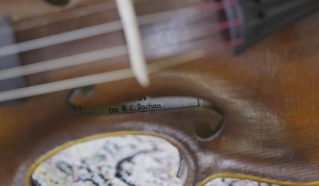 violin
