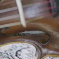 violin
