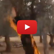 Sure looks a lot like arson