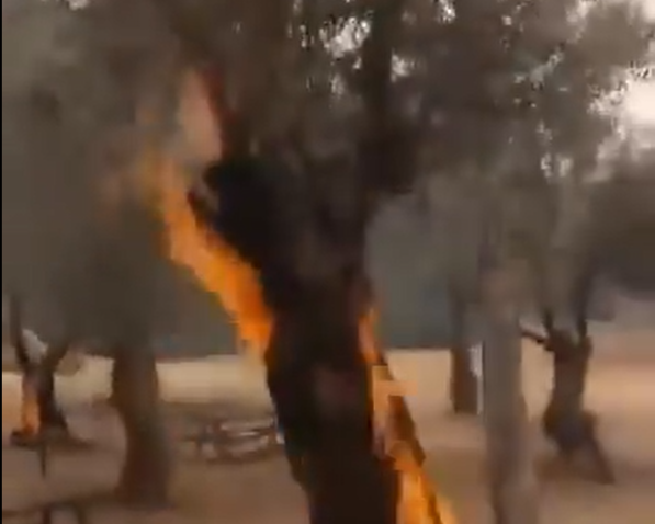 Sure looks a lot like arson