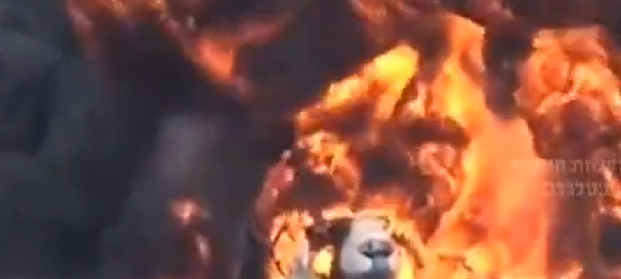 Houthi-controlled plane obliterated in Israeli strike