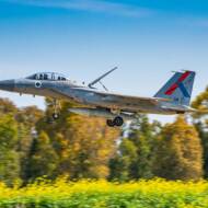 IAF fighter jet