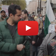 Anti-Israel protester