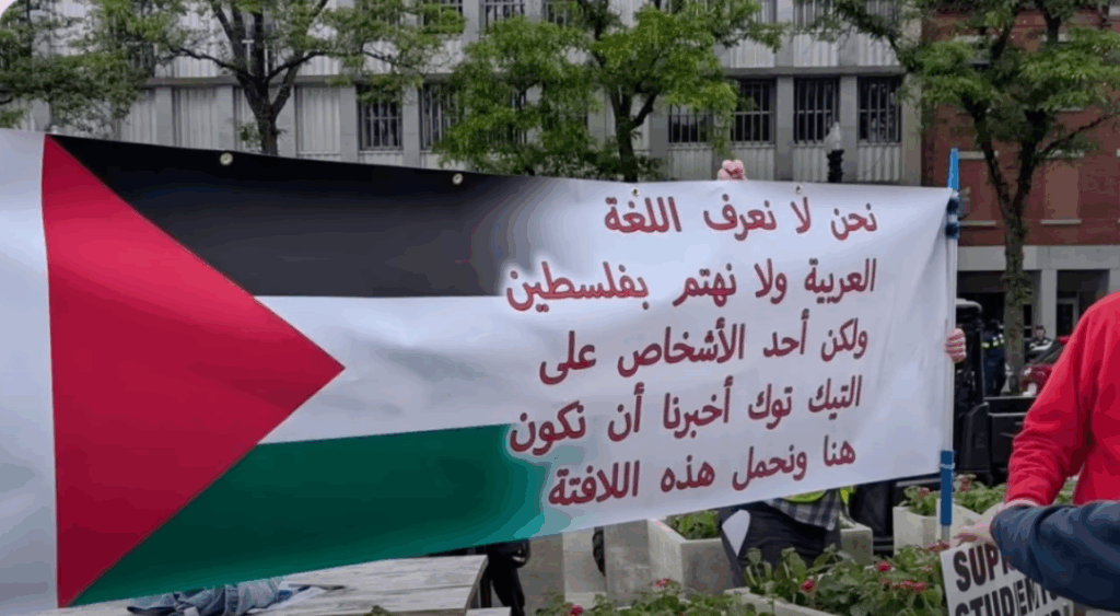 Anti-Israel protesters