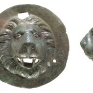 lions