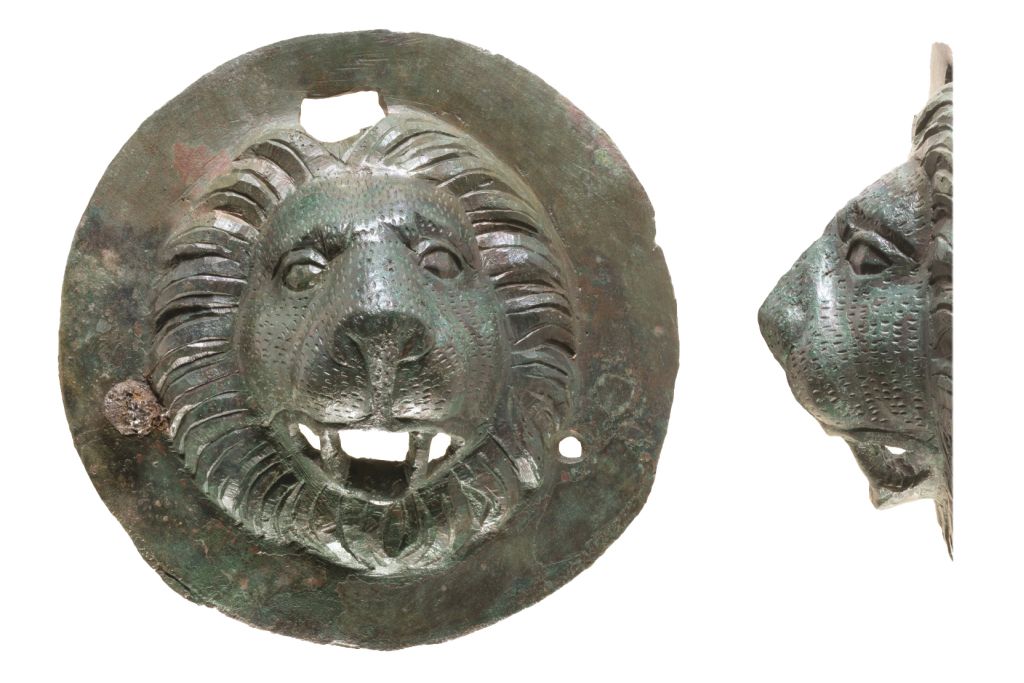 lions