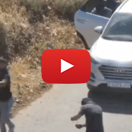 Palestinians throwing rocks