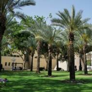 Ben Gurion University