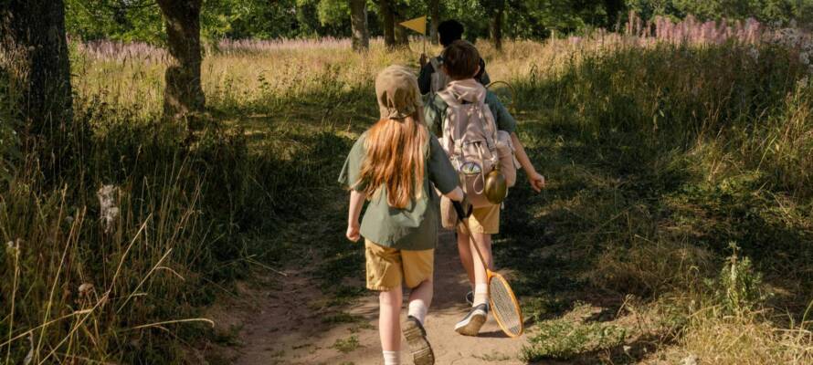 Summer Camp