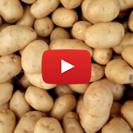 potatoes