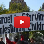Palestinian propaganda