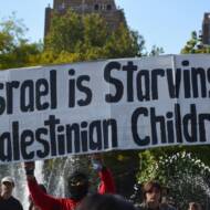 Palestinian propaganda