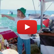 Greta Thunberg parody