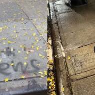 antisemitic graffiti