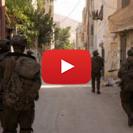 idf samaria