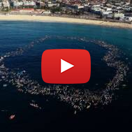 Bondi Beach massacre