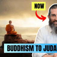 Dov Ber Cohen
