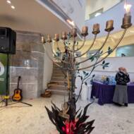 aleh menorah