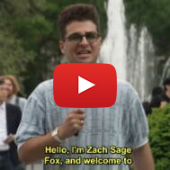 Zach Sage Fox