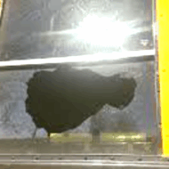 bus attack