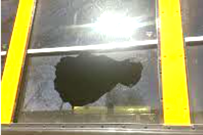 bus attack