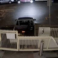 car ramming of at Brisbane synagogue