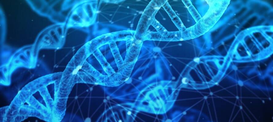 DNA