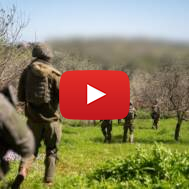 idf lebanon