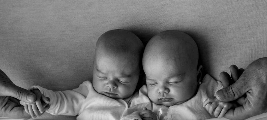 twin babies