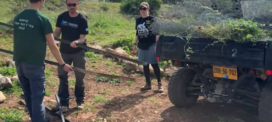 Na’aleh Therapy Farm