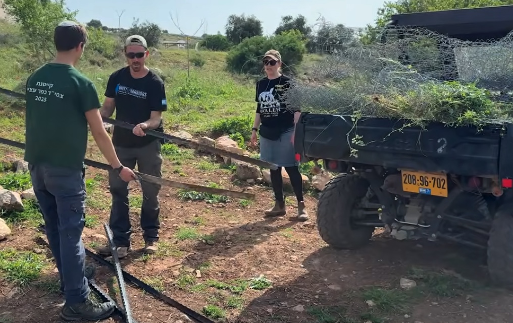 Na’aleh Therapy Farm