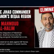 Wael Mahmoud Abd al-Halim