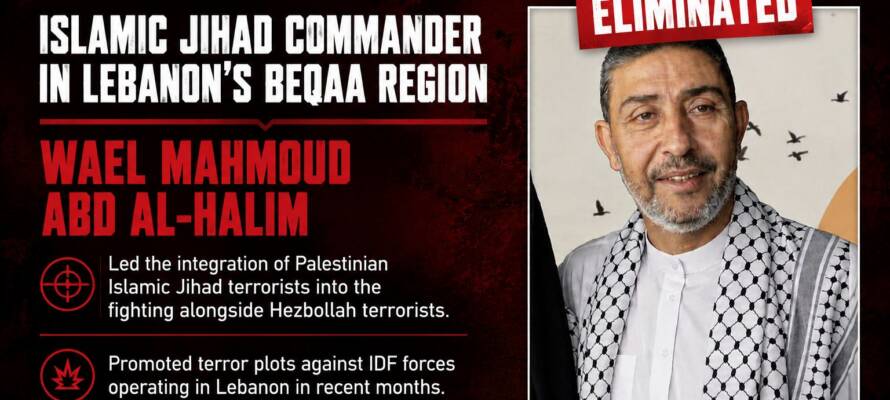 Wael Mahmoud Abd al-Halim