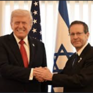 Trump and Herzog