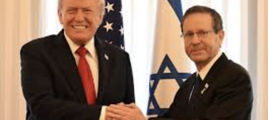 Trump and Herzog